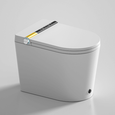 SmartFlush 540 Smart Toilet w/ remote